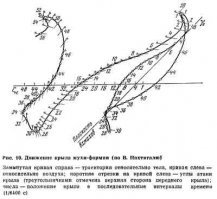 Катя остановись