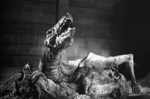 25 овощей и фруктов странной наружности, которые заставят взглянуть на них дважды