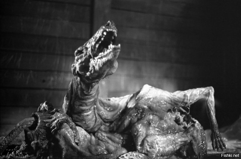 25 овощей и фруктов странной наружности, которые заставят взглянуть на них дважды