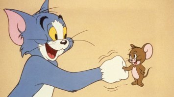 В основном сочувствовал коту.