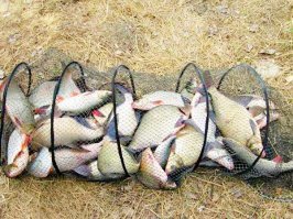 А можно еще как "морду" закидывать, В.Азия же рыбацкий край)