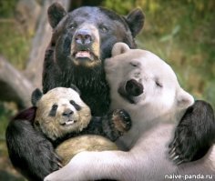 А Вы попробуйте денно и нощно, без отдыха, эвкалипт есть... 
А вообще просто глаза папины...