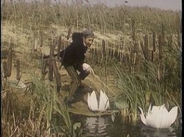 Как самостоятельно смастерить водоём на собственной даче