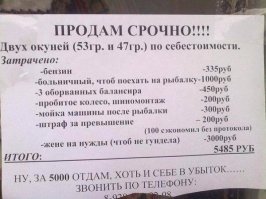 15 неожиданных истин, открывшихся пользователям Сети