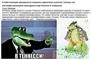 15 постов, которые запомнились благодаря комментариям