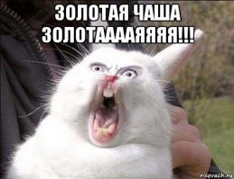 Зевающие кролики выглядят страшно