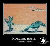 Почему хвост самолета безопаснее?