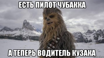 Водитель Кузака был наказан дорожным учителем