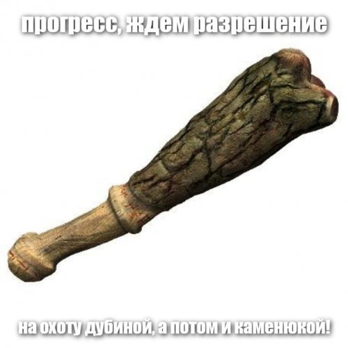 Россиянам разрешили охотиться с луком и стрелами