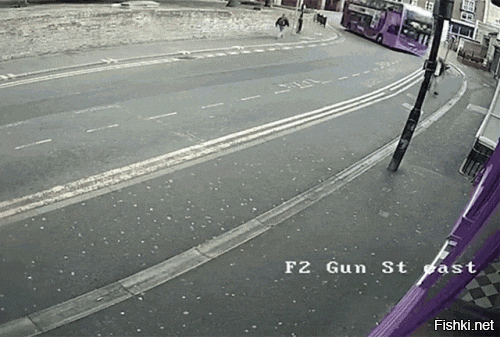 Плохой охотник однако. Ушла добыча.