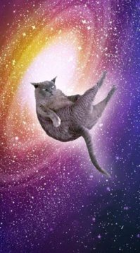 Прикольные и смешные картинки