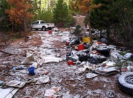 "А чё там у америкосов? Есть мусор? Нет мусора".
-----
Shasta-Trinity National Forest, США:
