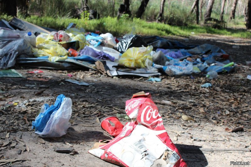 Австралийский лес опять засрали! ((