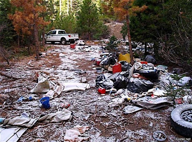 "А чё там у америкосов? Есть мусор? Нет мусора".
-----
Shasta-Trinity National Forest, США: