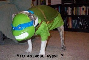 Прикольные и смешные картинки
