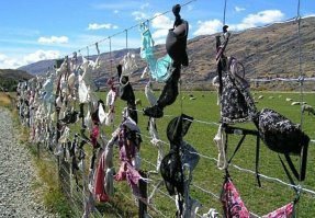 Виагра для мохнатых перед еплей овец.