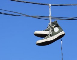 Эх молодёжь и чему сейчас в школе учат, не знают даже как правильно сушить кеды.