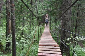 Блогер, мля.  Либераст, он и есть либераст. 
Какого хрена автор сравнивает окультуренный лес Норвегии с окрестностями глухой деревни? С нацпарком "Оленьи Ручьи" сравни! Там тебе и культура и тысячи туристов. И чистота, ибо убирают.