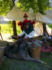 Дружелюбные великаны: смешные фотографии ирландских волкодавов