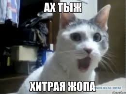 Подборка автомобильных приколов