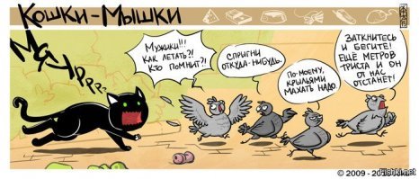 15 комиксов от художника, который показывает человеческую жизнь через кошек и мышек