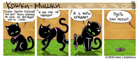 15 комиксов от художника, который показывает человеческую жизнь через кошек и мышек