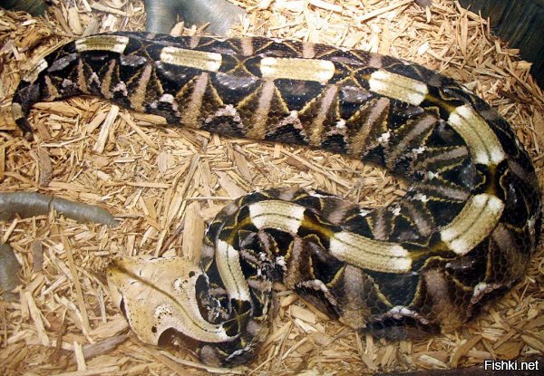 20+ жизненных хитростей и шпаргалок от пользователей Сети