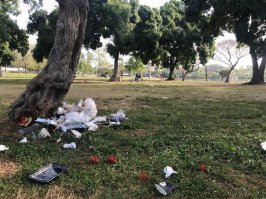 Да ладно вам, вот фото других стран, тоже не очень то и благополучно: Англия, Тель-Авив, США.