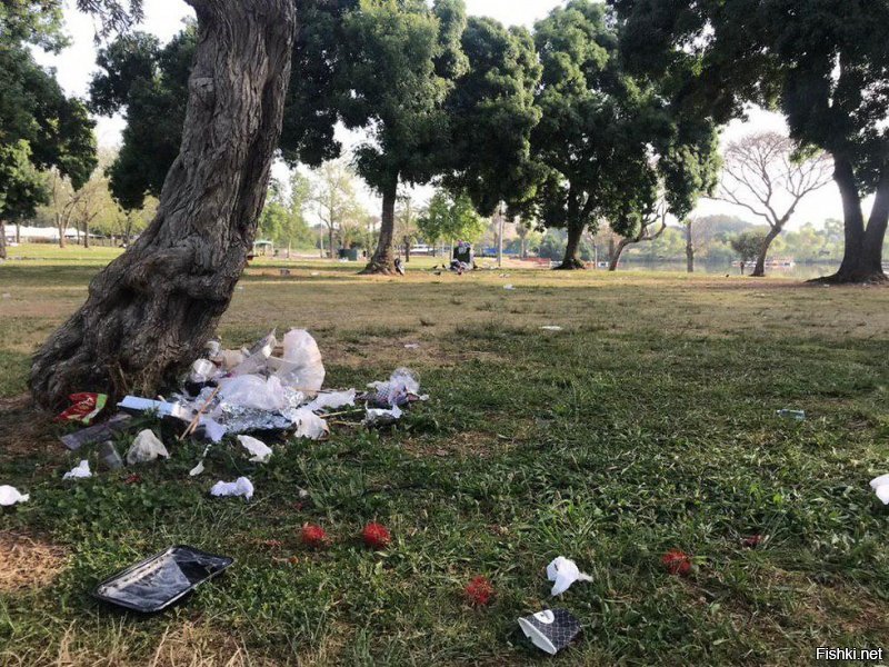 Да ладно вам, вот фото других стран, тоже не очень то и благополучно: Англия, Тель-Авив, США.