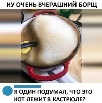 А что не кот?