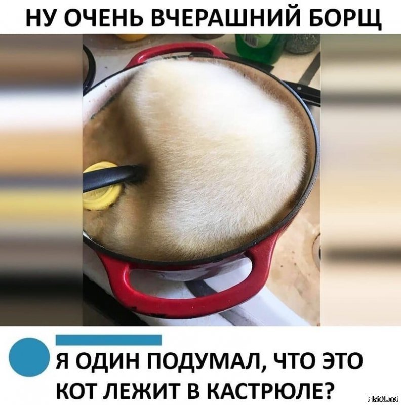 А что не кот?
