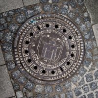 Не так дорого. К тому же фирменные люки - визитная карточка многих туристических городов