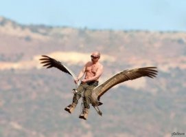 Намешалось