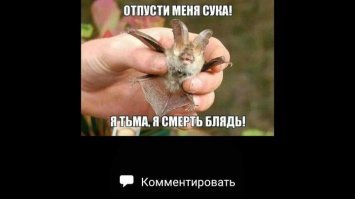 Демотивируй