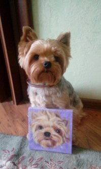 Утренняя коллекция фотографий со всего мира за 25.07.2019