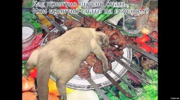 Прикольные и смешные картинки