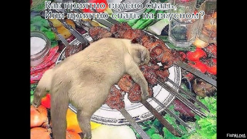 Прикольные и смешные картинки