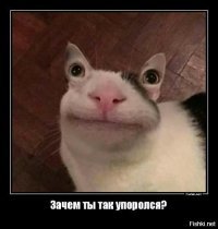 Давайте по-честному
