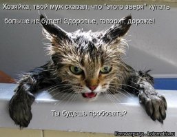 Фотоподборка