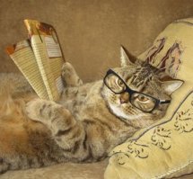 А вот и экзаменатор.