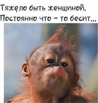 Прикольные и смешные картинки