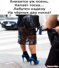 Прикольные и смешные картинки