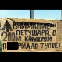 Прикольные и смешные картинки