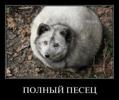 Саунд трэк в видео - полный писец .