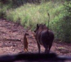 Скрины из социальных сетей