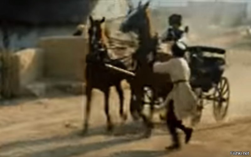 Ну а "настоящих" фоток не судьба было выложить?