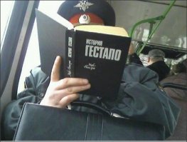 Самые неожиданные книги, которые россияне нашли на полках в магазинах