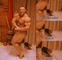 Самые дорогие породы собак. Топ-20
