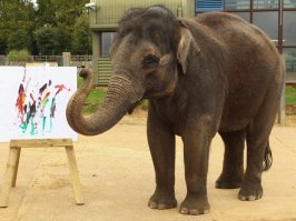 Главное написать в заголовке что это был не человек. Да, это был не современный человек вида Homo Sapiens, а его предок. Какой нибудь неандерталец, или, если находка сделана в Китае то синантроп. Дельфины и слоны тоже знаете ли абстрактные картины рисуют. Их интеллекта им вполне хватает чтобы делать это осознанно.