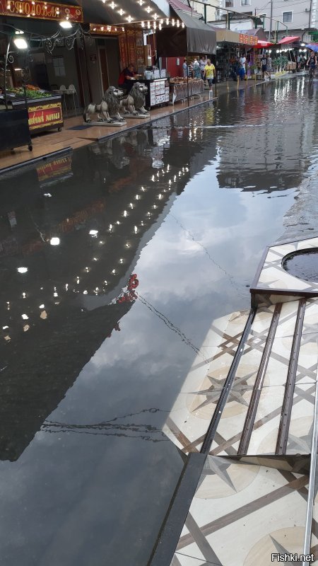 Тем временем Сочи 25 июля